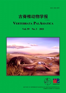 古脊椎动物学报封面