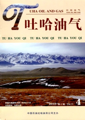 吐哈油气杂志封面