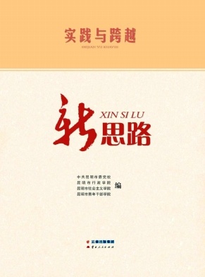 实践与跨越封面