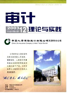审计理论与实践封面