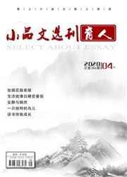小品文选刊杂志封面