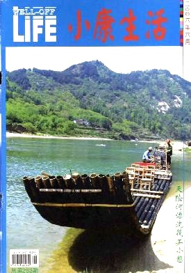 小康生活杂志封面