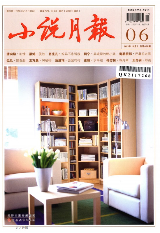 小说月报杂志封面
