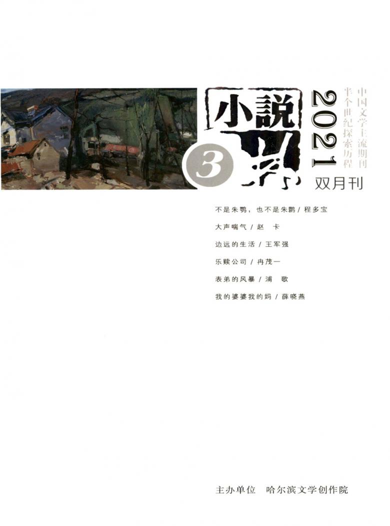 小说林杂志封面