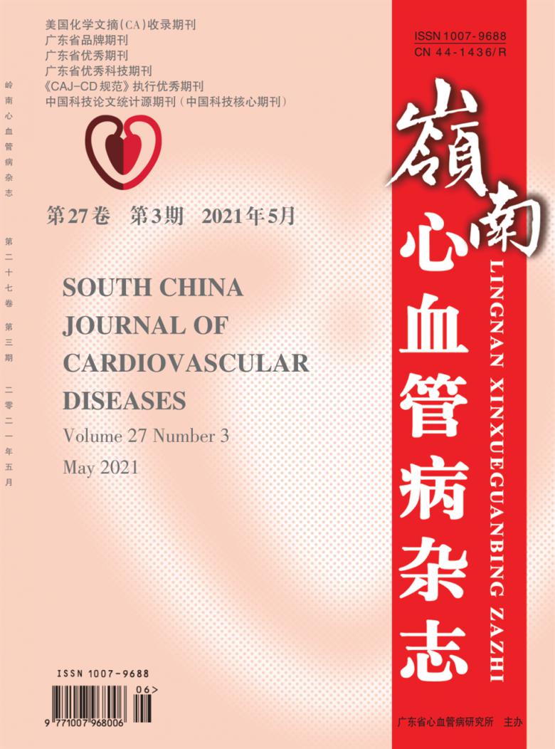 岭南心血管病封面