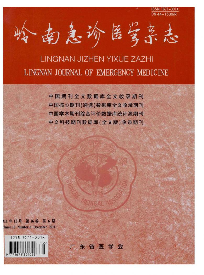 岭南急诊医学杂志封面