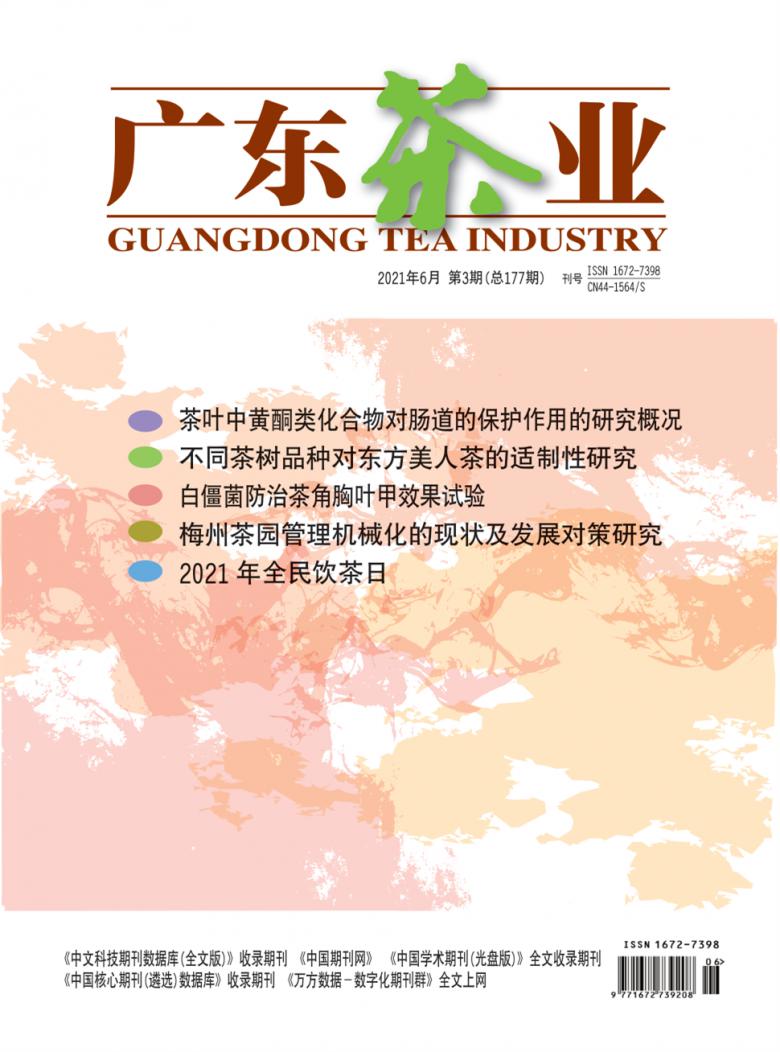 广东茶业杂志封面