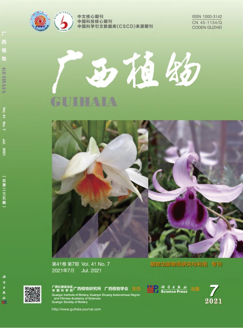 广西植物杂志封面
