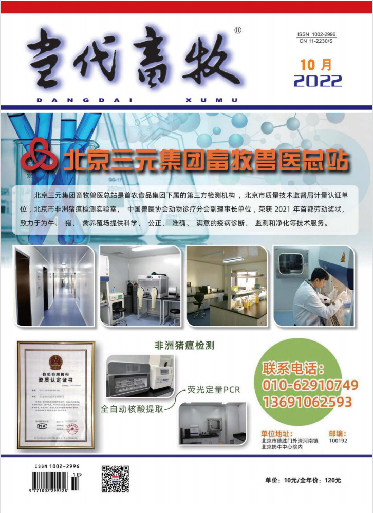 当代畜牧封面