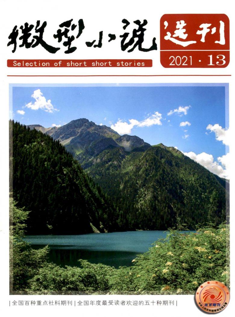 微型小说选刊杂志封面