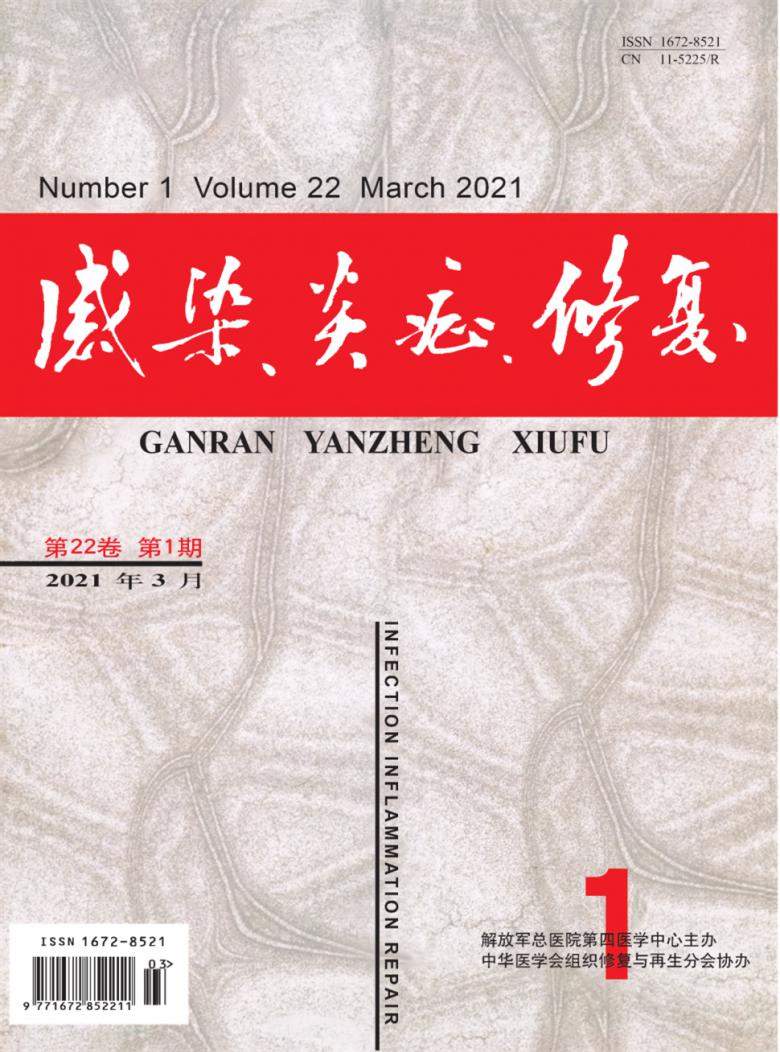 感染.炎症.修复封面