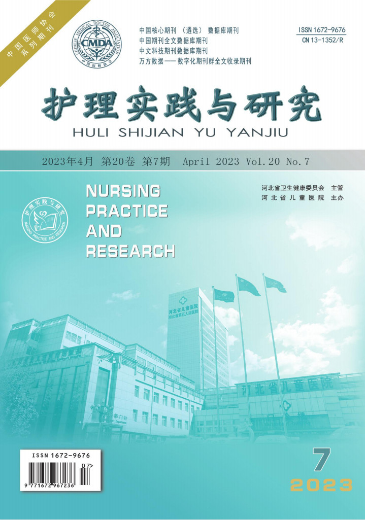 护理实践与研究封面