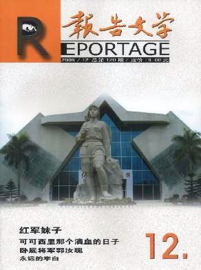 报告文学杂志封面