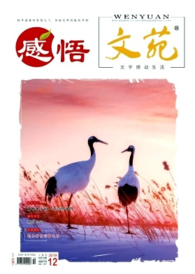 文苑杂志封面