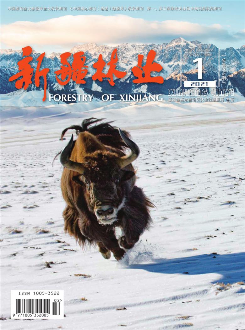 新疆林业封面