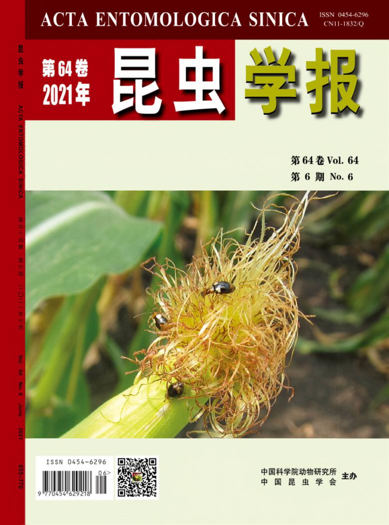 昆虫学报封面