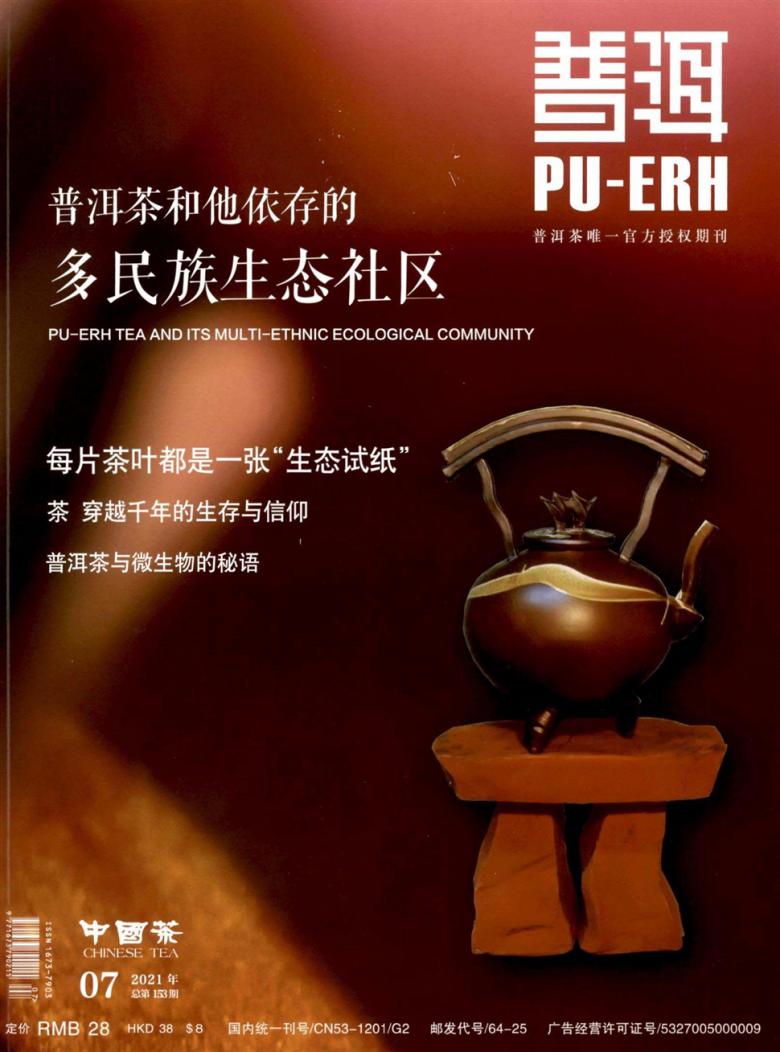 普洱杂志封面