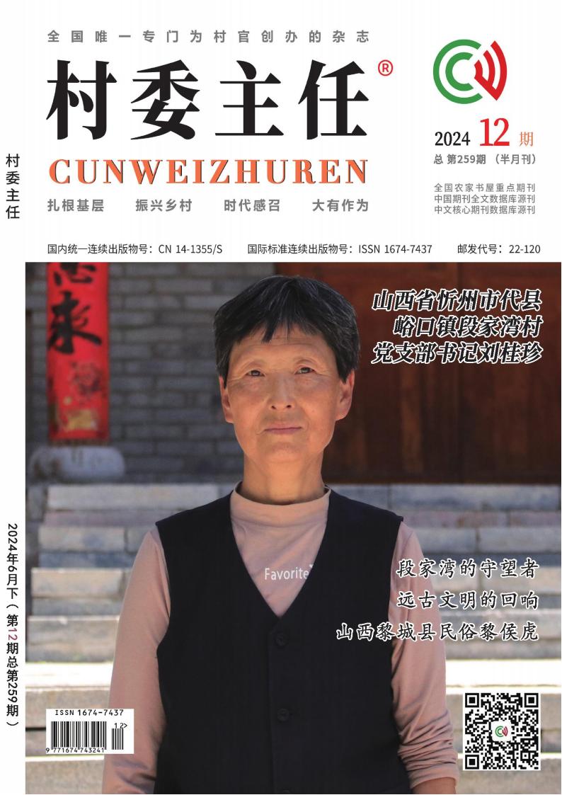 村委主任杂志封面