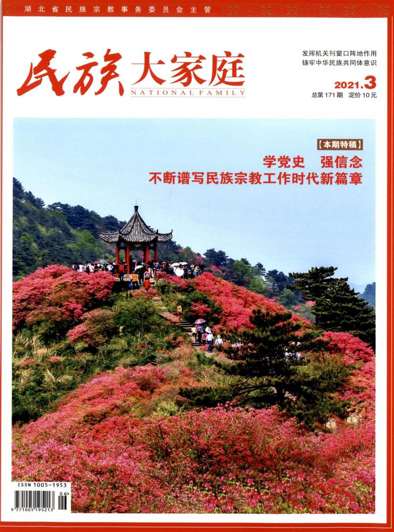 民族大家庭杂志封面