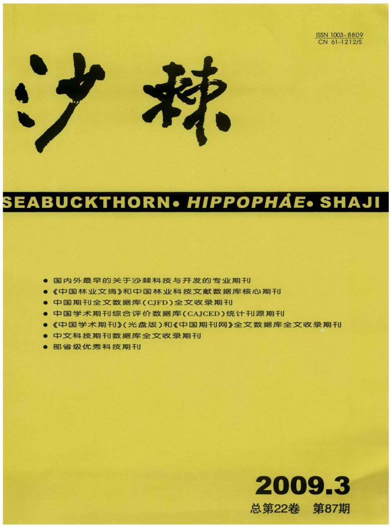 沙棘杂志封面