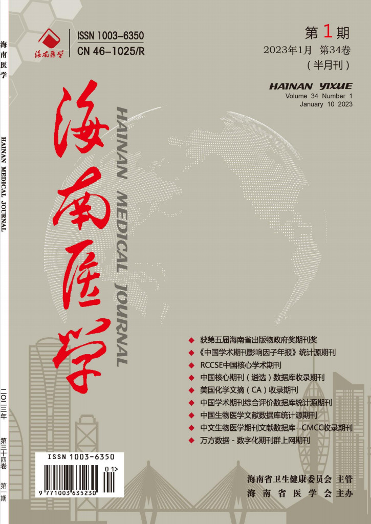 海南医学杂志封面