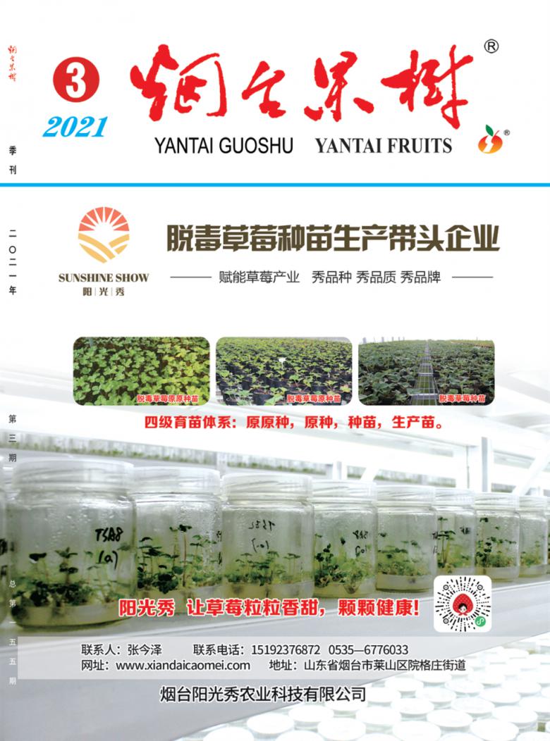 烟台果树封面