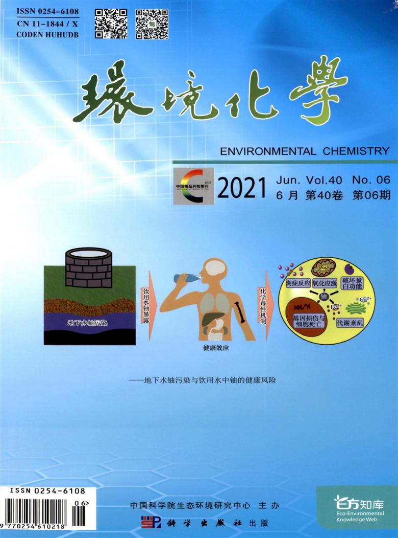 环境化学杂志封面