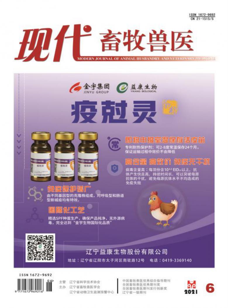 现代畜牧兽医封面