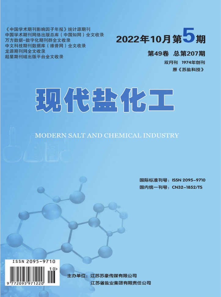 现代盐化工封面