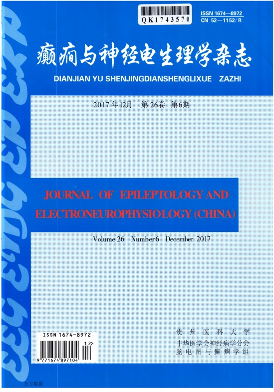 癫癎与神经电生理学封面