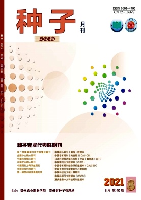 种子杂志封面