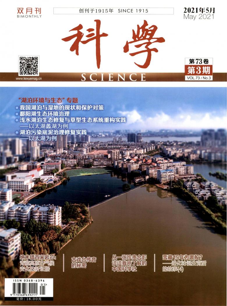 科学封面