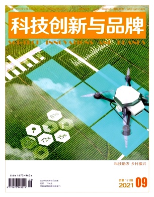 科技创新与品牌封面