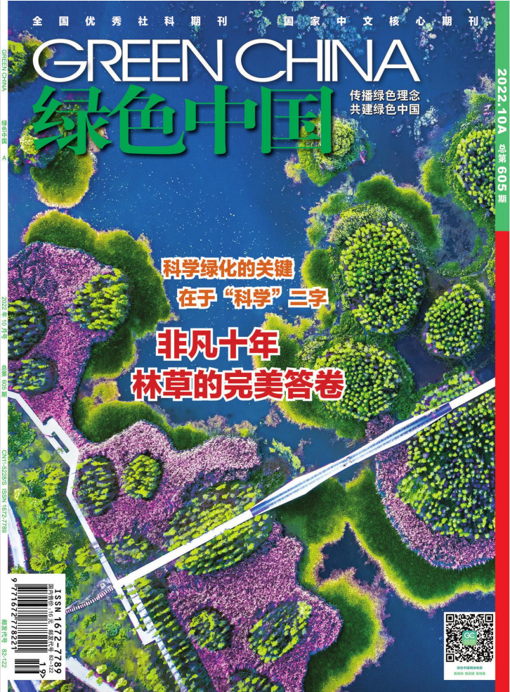 绿色中国封面