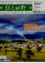 绿色视野杂志封面