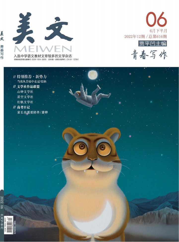 美文杂志封面