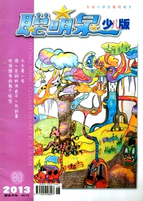 聪明泉封面
