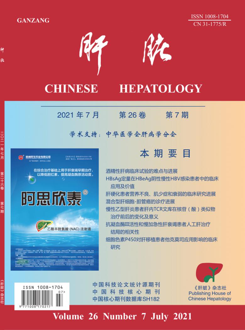肝脏封面