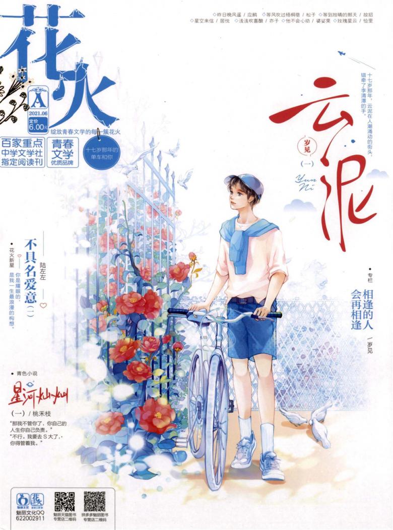 花火杂志封面