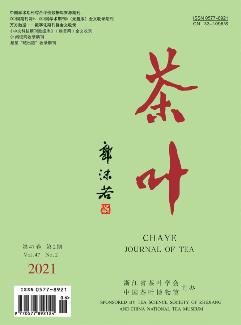 茶叶杂志封面