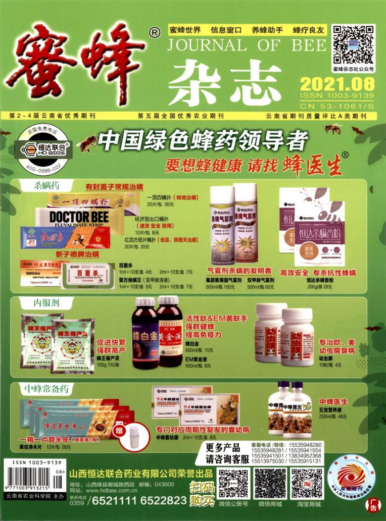蜜蜂杂志封面
