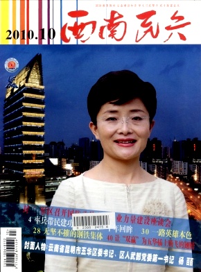 西南民兵杂志封面