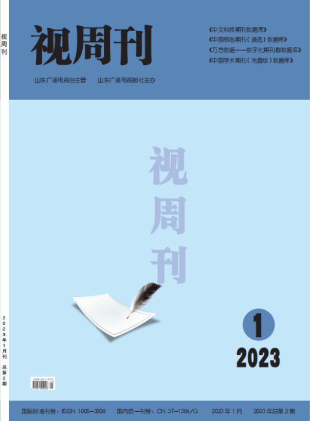 视周刊封面
