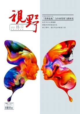 视野杂志封面