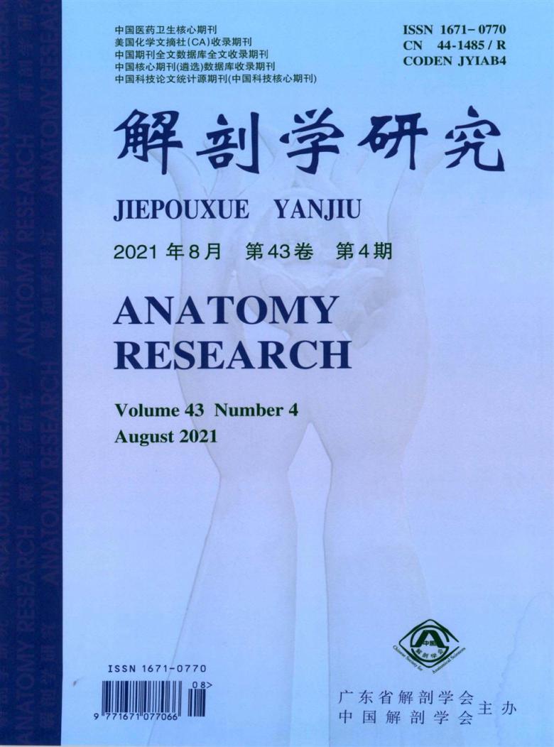 解剖学研究封面