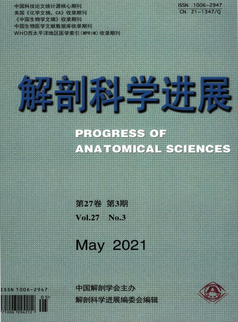 解剖科学进展封面