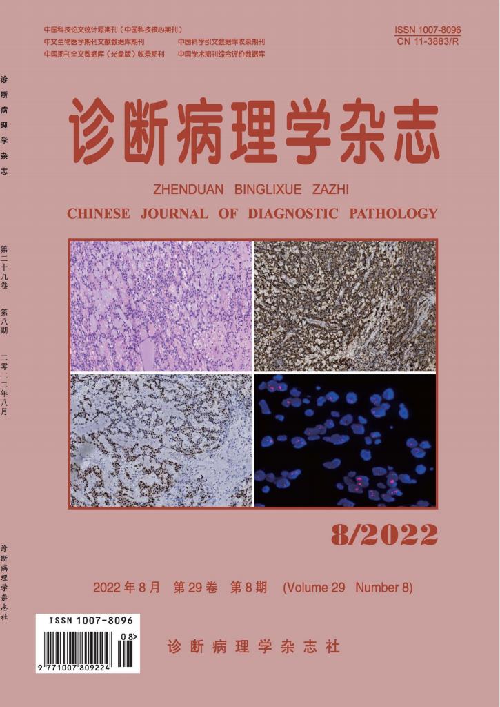 诊断病理学封面