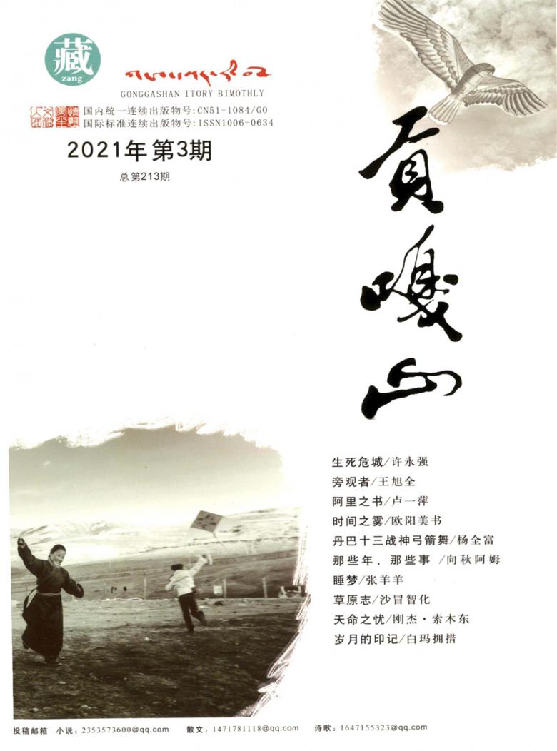 贡嘎山杂志封面