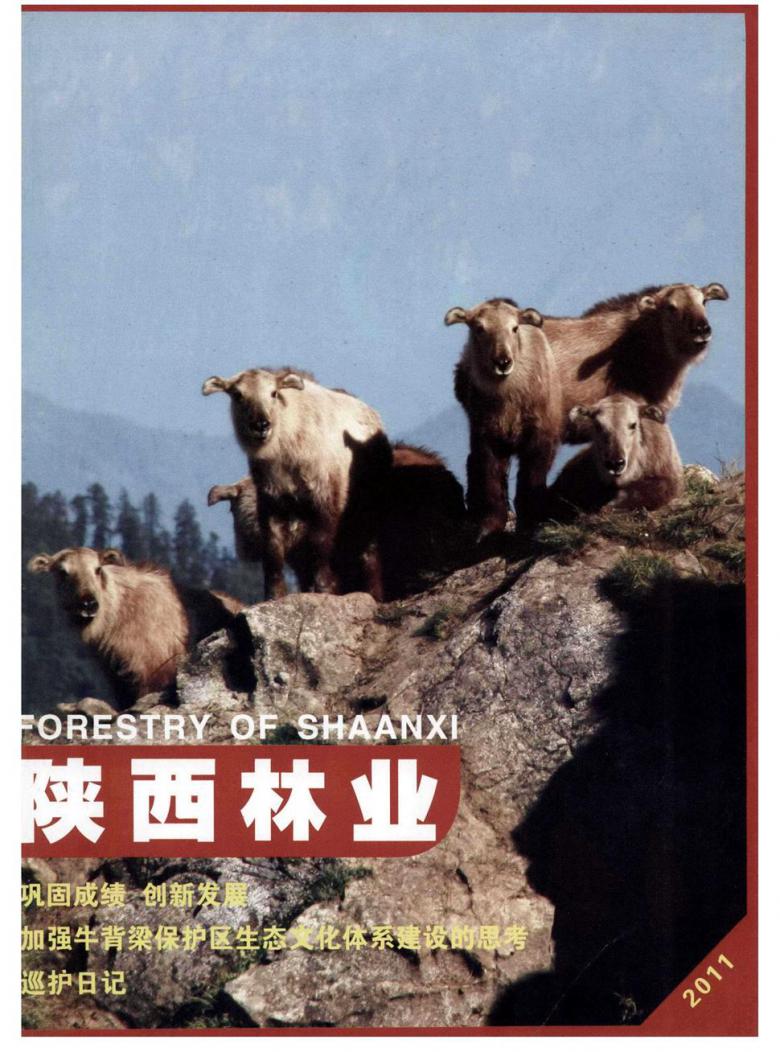 陕西林业封面