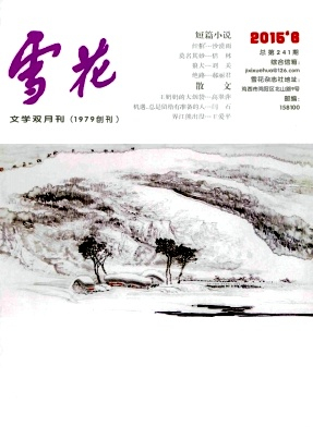 雪花杂志封面